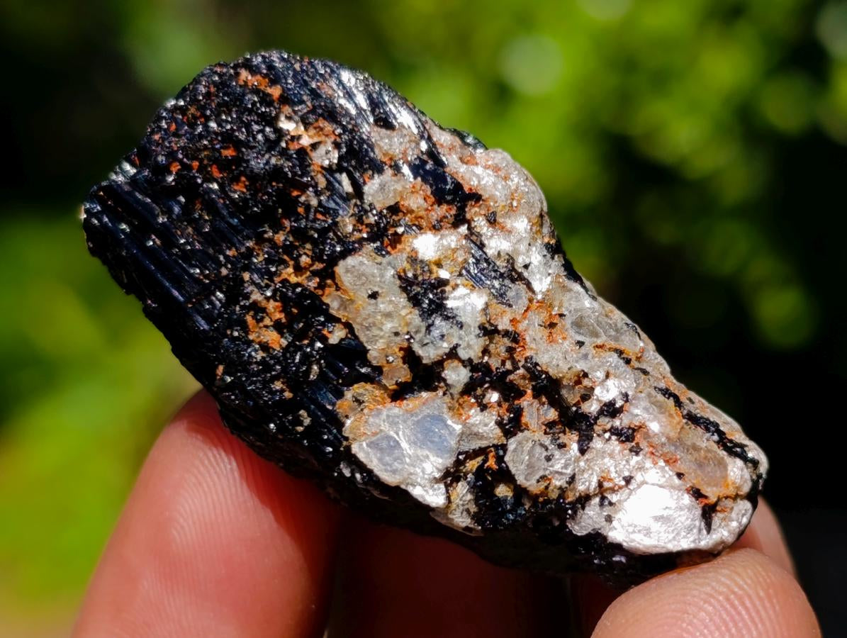Natural Rough Black Tourmaline Crystals x 70 From Zambia
