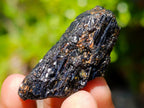 Natural Rough Black Tourmaline Crystals x 70 From Zambia