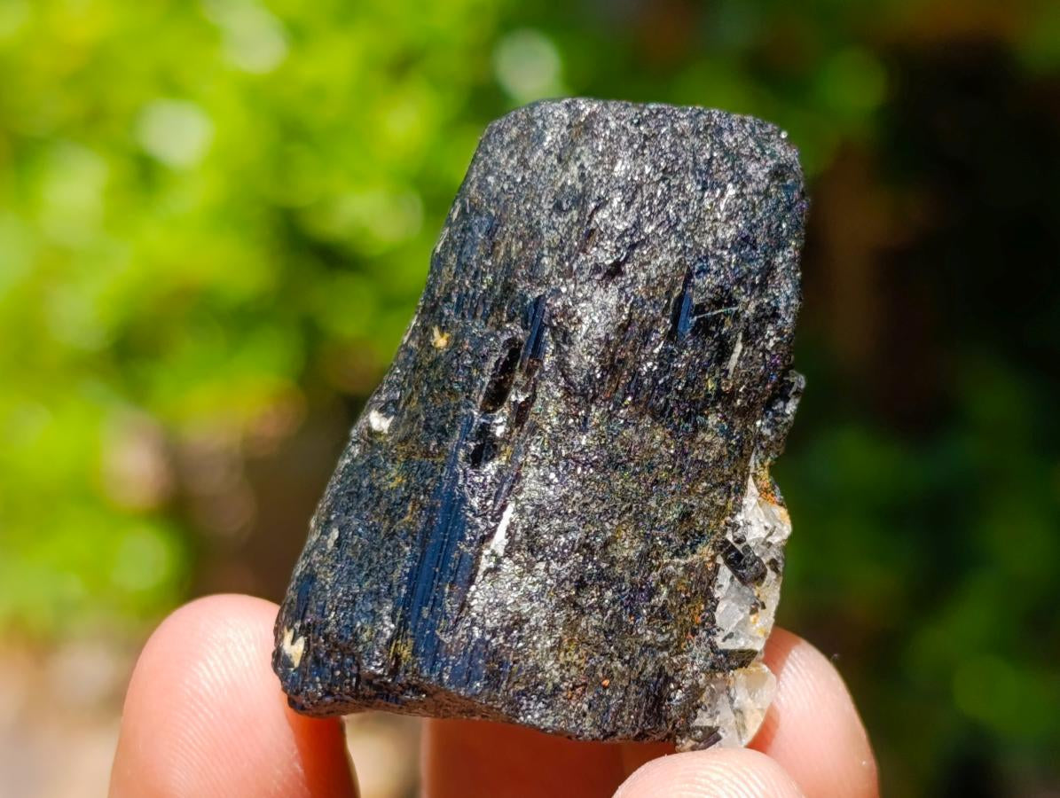 Natural Rough Black Tourmaline Crystals x 70 From Zambia