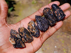 Natural Rough Black Tourmaline Crystals x 70 From Zambia