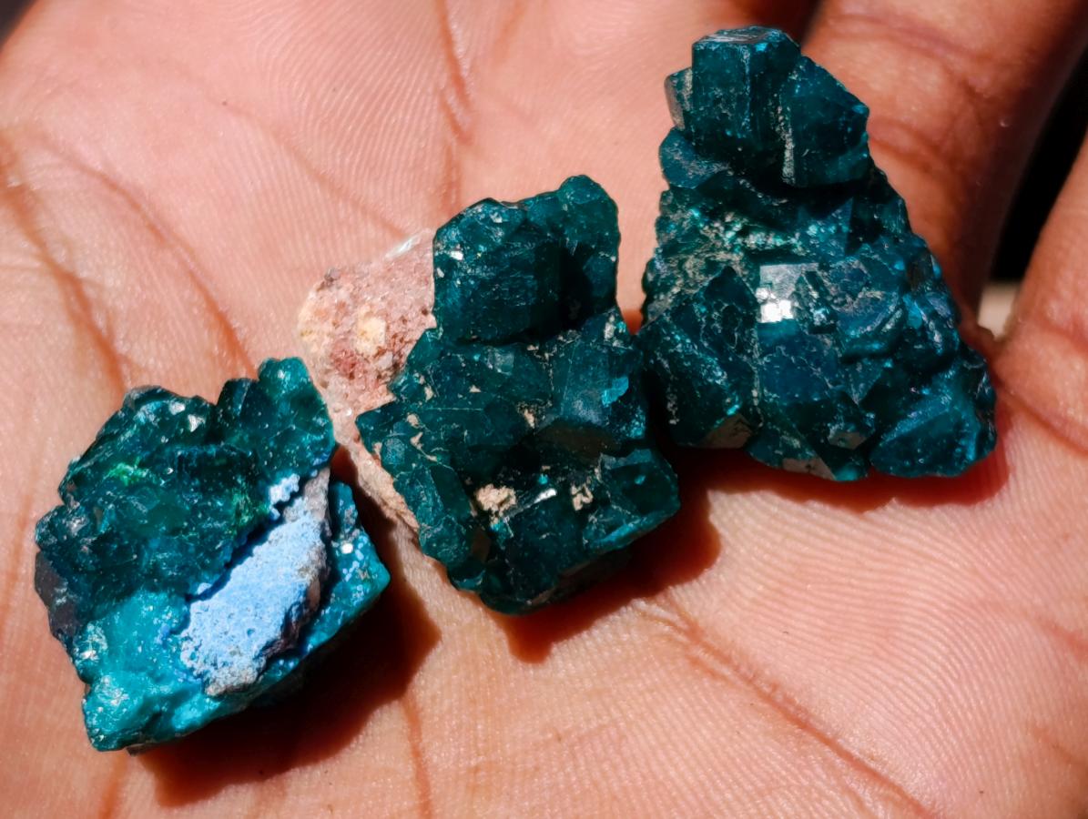 Natural Mini Dioptase Specimens on Dolomite Matrix x 72 From Tantara Mine, Congo