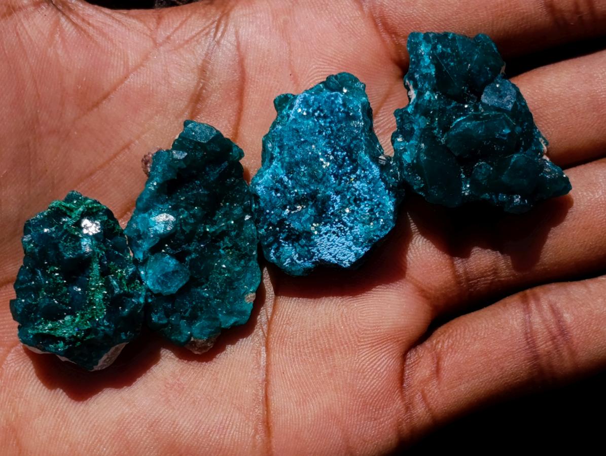 Natural Mini Dioptase Specimens on Dolomite Matrix x 72 From Tantara Mine, Congo