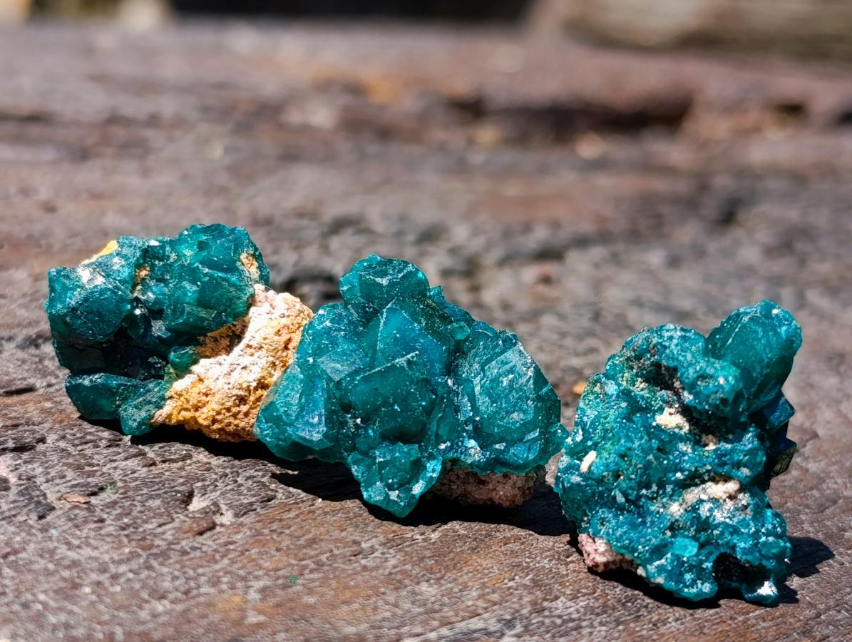 Natural Mini Dioptase Specimens on Dolomite Matrix x 72 From Tantara Mine, Congo