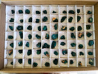 Natural Mini Dioptase Specimens on Dolomite Matrix x 72 From Tantara Mine, Congo