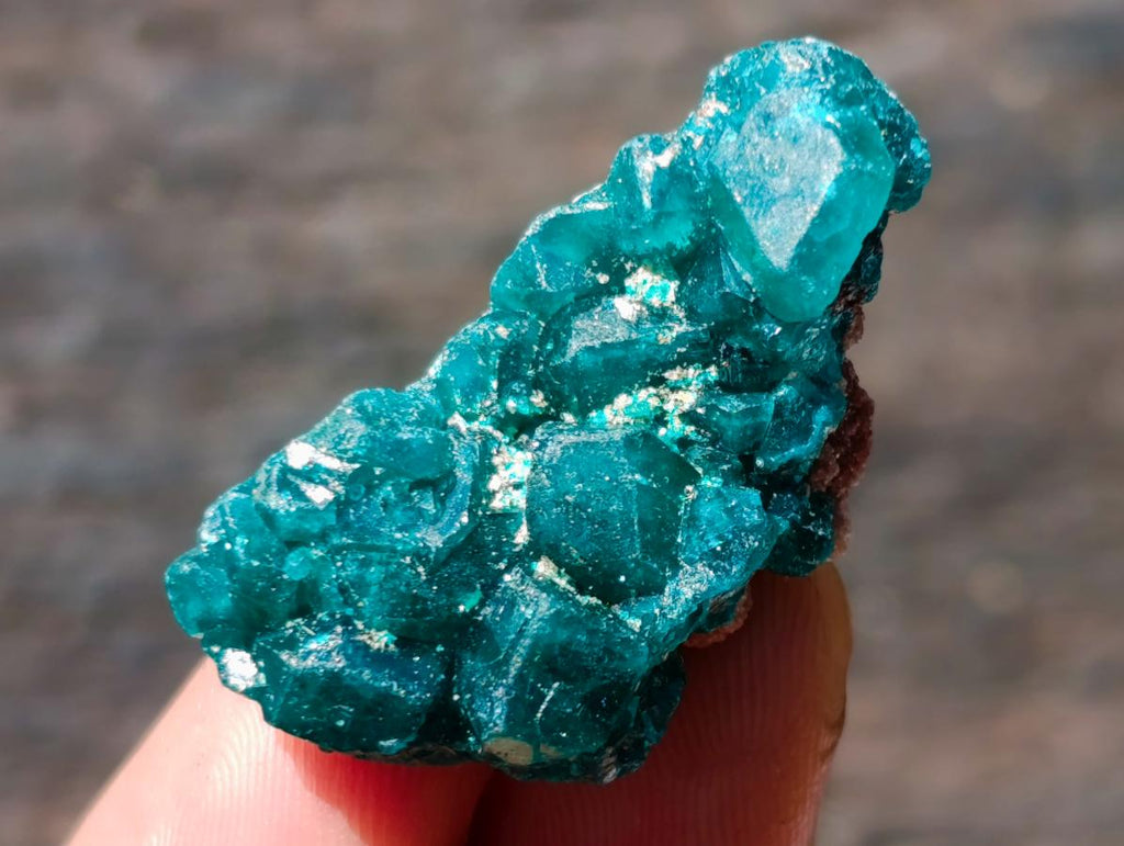 Natural Mini Dioptase Specimens on Dolomite Matrix x 72 From Tantara Mine, Congo