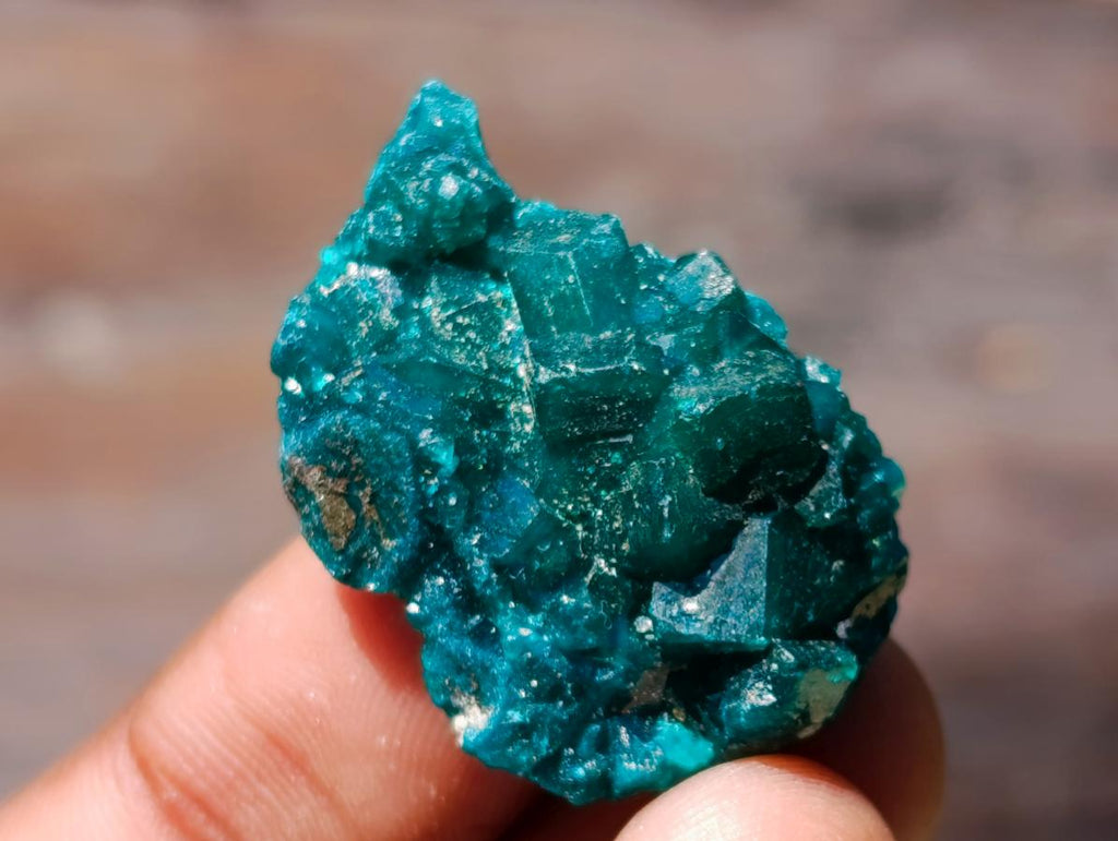 Natural Mini Dioptase Specimens on Dolomite Matrix x 72 From Tantara Mine, Congo