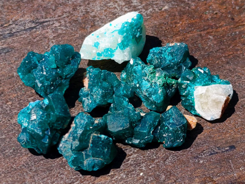 Natural Mini Dioptase Specimens on Dolomite Matrix x 72 From Tantara Mine, Congo