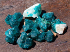 Natural Mini Dioptase Specimens on Dolomite Matrix x 72 From Tantara Mine, Congo