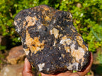 Natural Large Black Tourmaline Specimens in Quartz  x 2 From Zambia