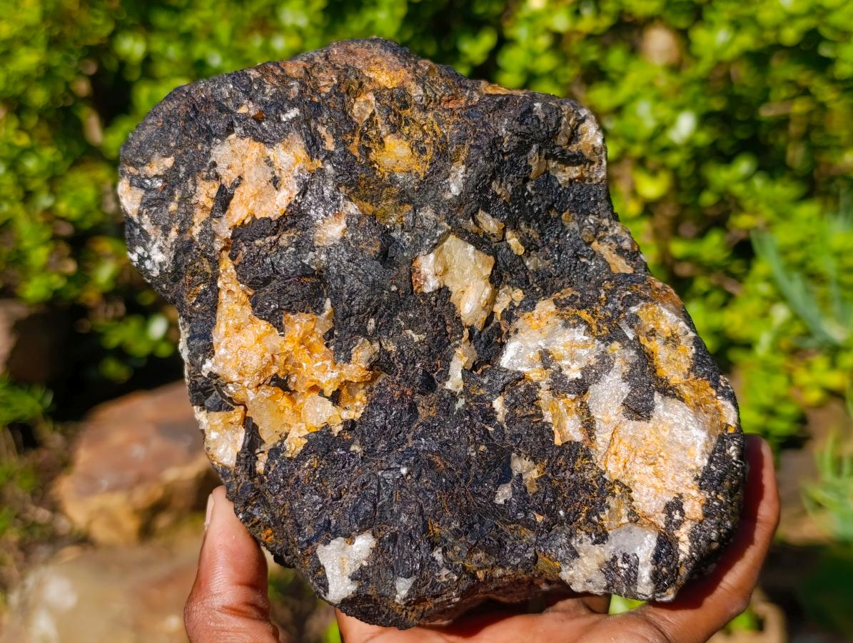 Natural Large Black Tourmaline Specimens in Quartz  x 2 From Zambia