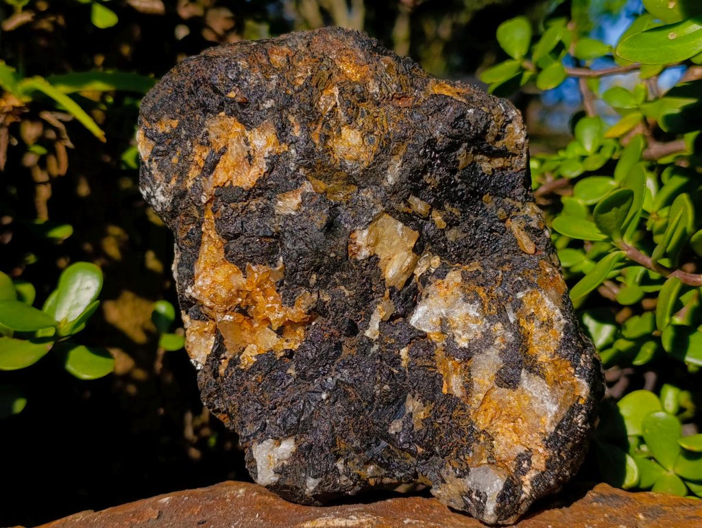 Natural Large Black Tourmaline Specimens in Quartz  x 2 From Zambia