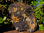 Natural Large Black Tourmaline Specimens in Quartz  x 2 From Zambia