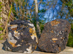Natural Large Black Tourmaline Specimens in Quartz  x 2 From Zambia