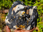 Natural Large Black Tourmaline Specimens in Quartz  x 2 From Zambia