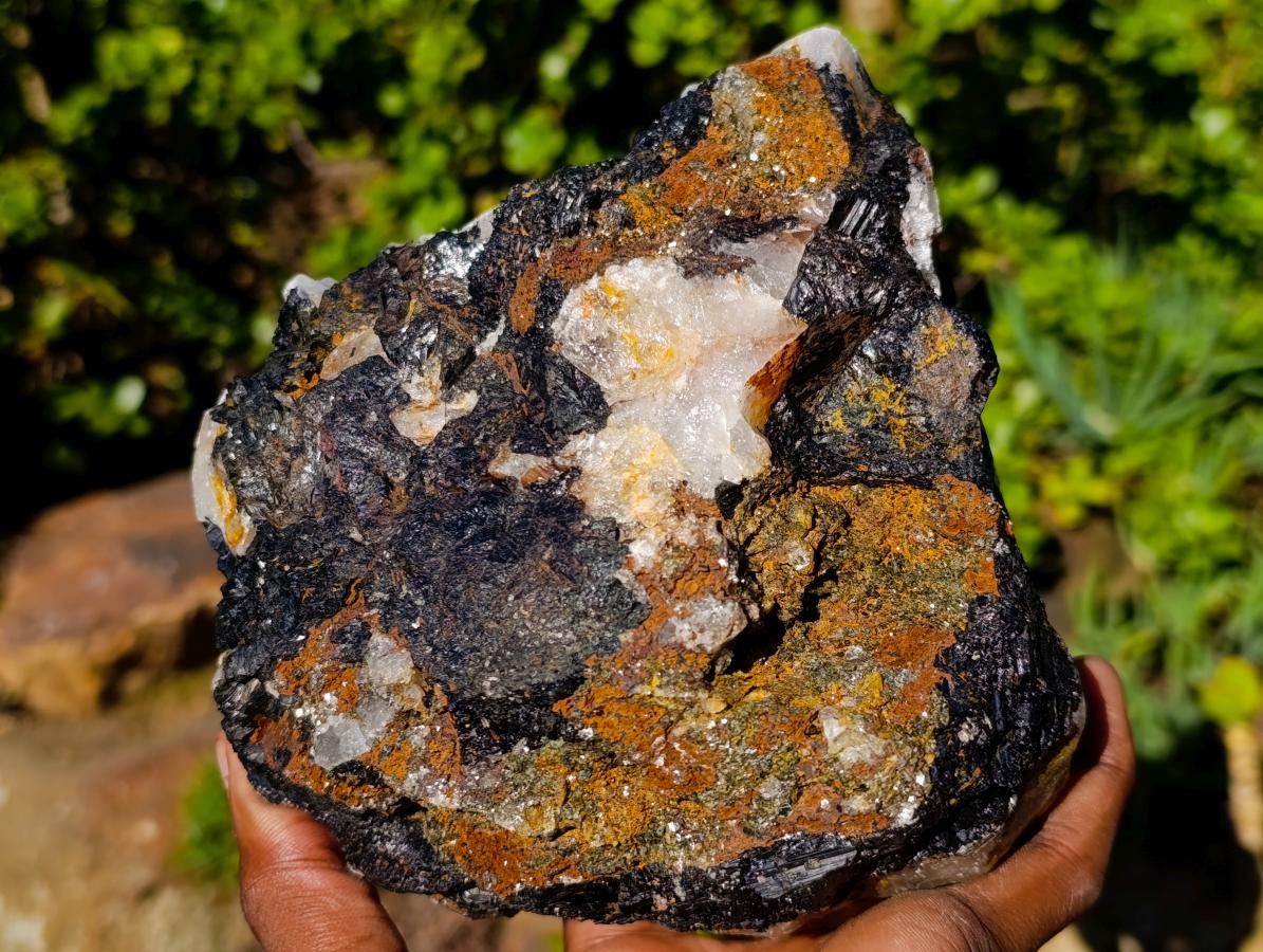 Natural Large Black Tourmaline Specimens in Quartz  x 2 From Zambia