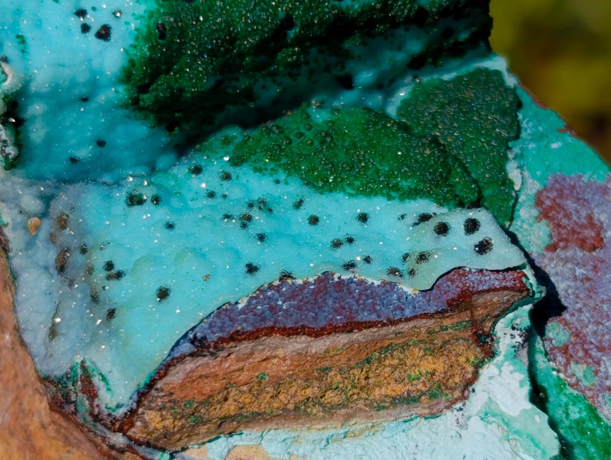 Natural Drusy Coated Chrysocolla Specimens with Malachite x 6 From Lupoto Mine, Congo