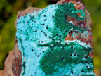 Natural Drusy Coated Chrysocolla Specimens with Malachite x 6 From Lupoto Mine, Congo
