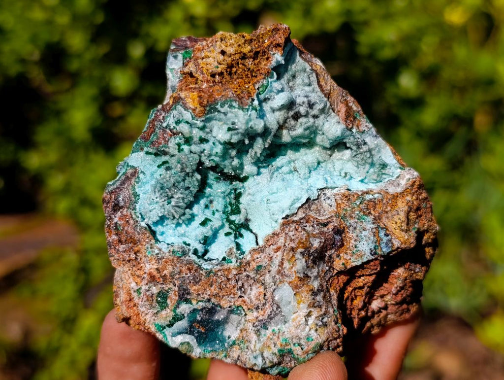 Natural Drusy Coated Chrysocolla Specimens with Malachite x 6 From Lupoto Mine, Congo
