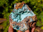Natural Drusy Coated Chrysocolla Specimens with Malachite x 6 From Lupoto Mine, Congo