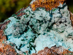 Natural Drusy Coated Chrysocolla Specimens with Malachite x 6 From Lupoto Mine, Congo