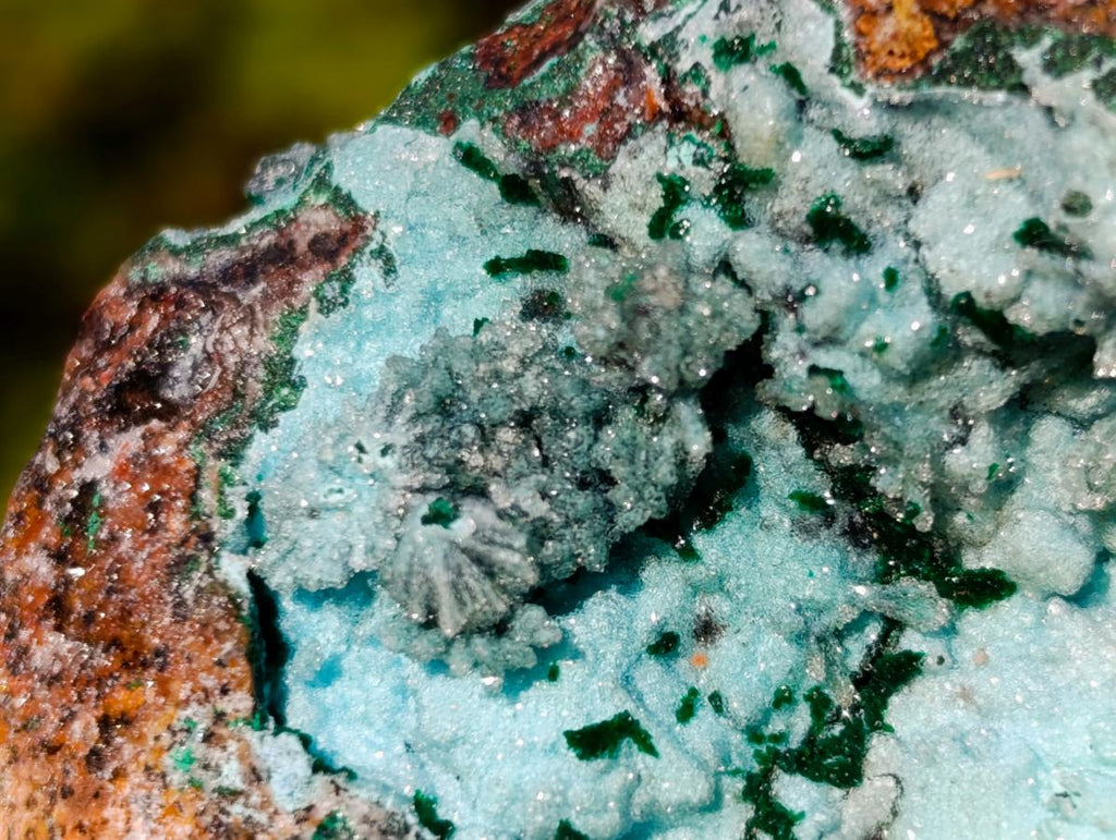 Natural Drusy Coated Chrysocolla Specimens with Malachite x 6 From Lupoto Mine, Congo