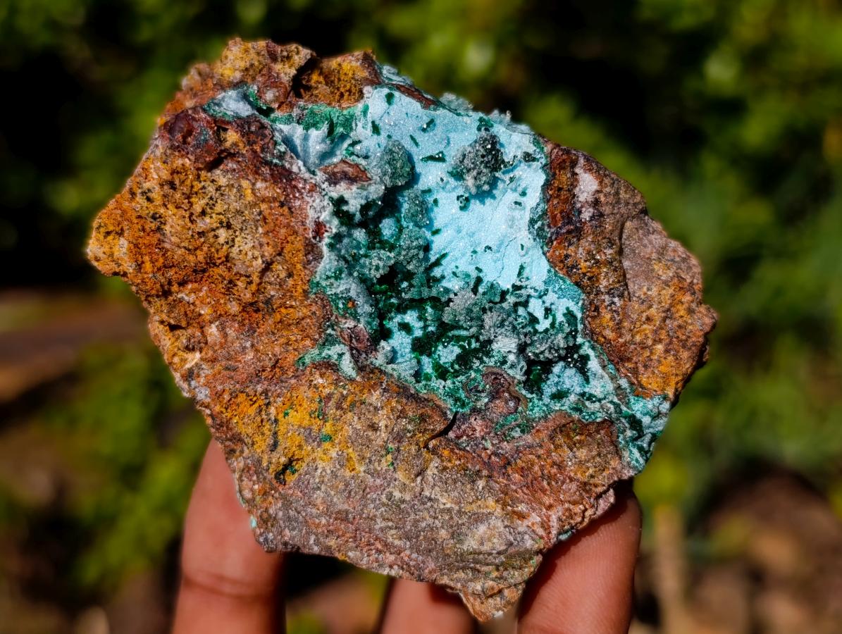 Natural Drusy Coated Chrysocolla Specimens with Malachite x 6 From Lupoto Mine, Congo