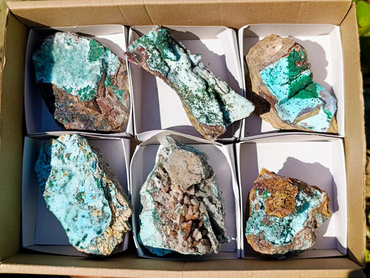 Natural Drusy Coated Chrysocolla Specimens with Malachite x 6 From Lupoto Mine, Congo