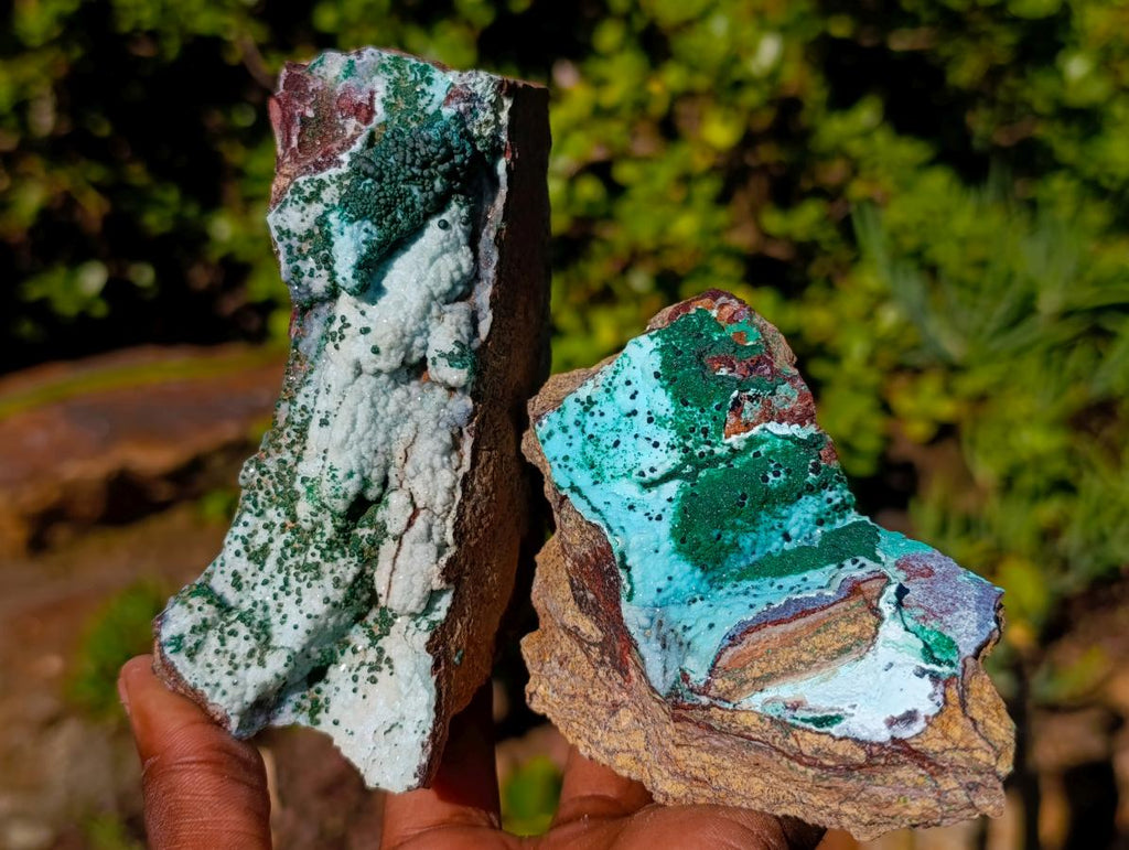 Natural Drusy Coated Chrysocolla Specimens with Malachite x 6 From Lupoto Mine, Congo