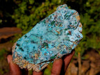 Natural Drusy Coated Chrysocolla Specimens with Malachite x 6 From Lupoto Mine, Congo