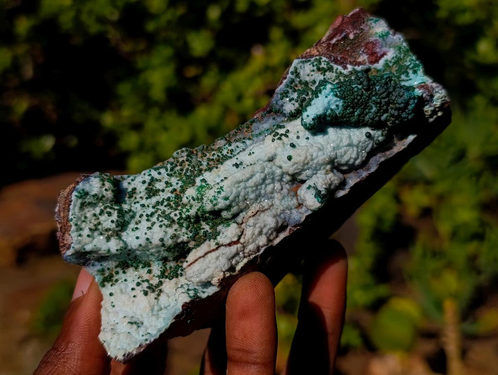 Natural Drusy Coated Chrysocolla Specimens with Malachite x 6 From Lupoto Mine, Congo