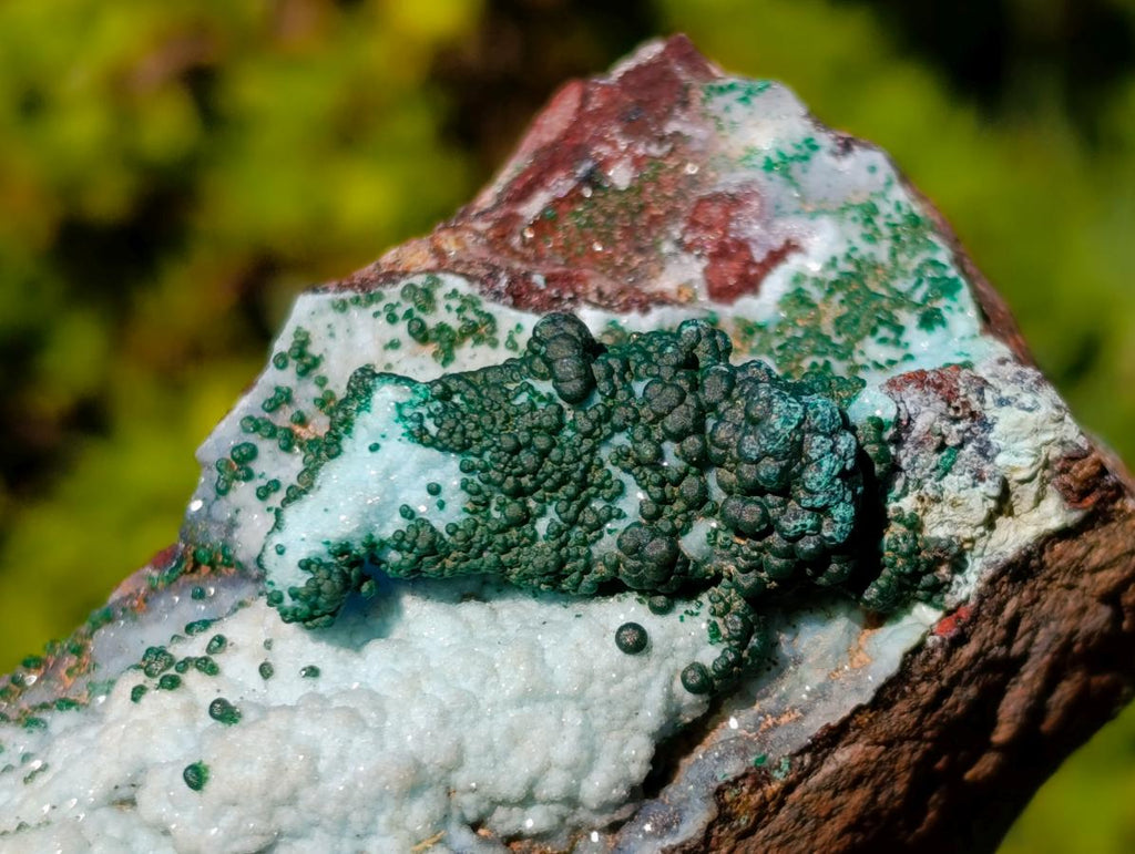 Natural Drusy Coated Chrysocolla Specimens with Malachite x 6 From Lupoto Mine, Congo