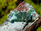Natural Drusy Coated Chrysocolla Specimens with Malachite x 6 From Lupoto Mine, Congo