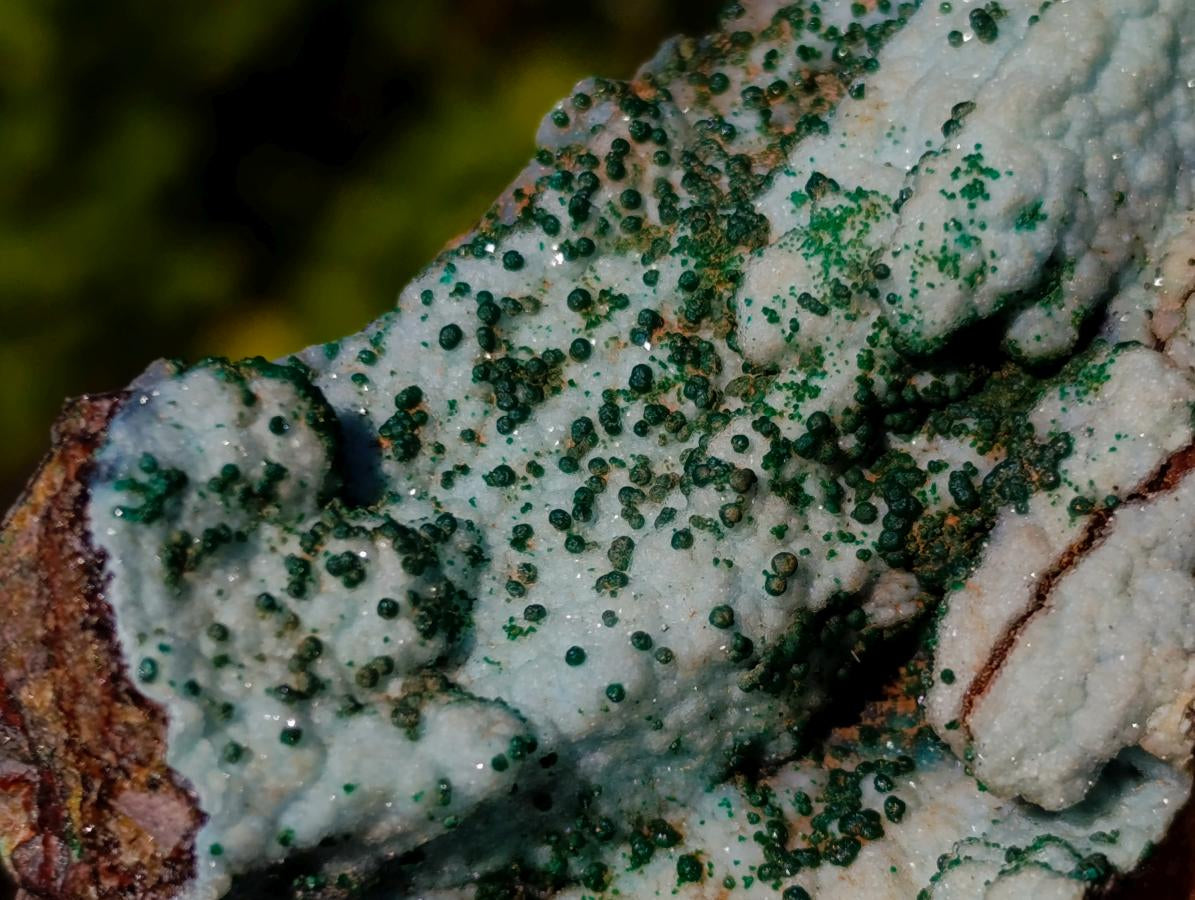 Natural Drusy Coated Chrysocolla Specimens with Malachite x 6 From Lupoto Mine, Congo