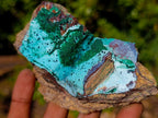 Natural Drusy Coated Chrysocolla Specimens with Malachite x 6 From Lupoto Mine, Congo
