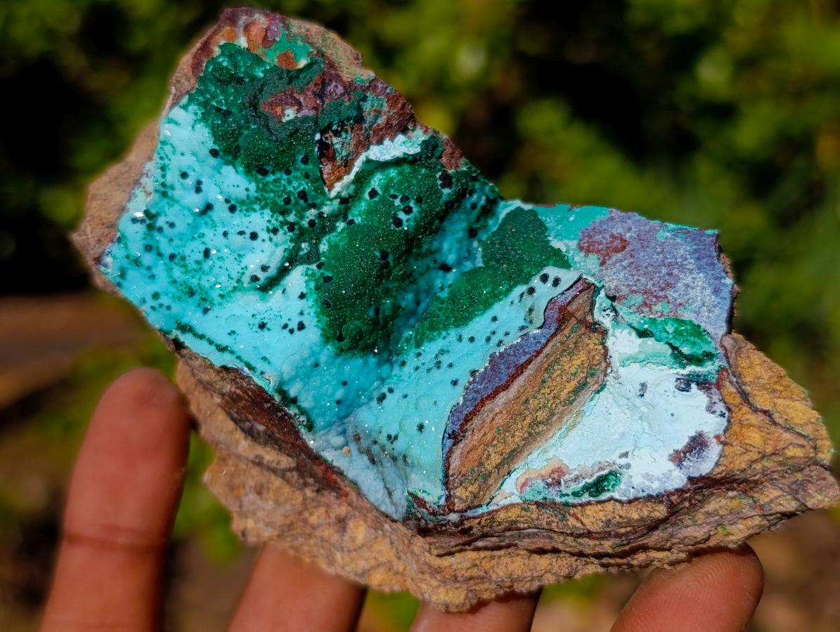 Natural Drusy Coated Chrysocolla Specimens with Malachite x 6 From Lupoto Mine, Congo