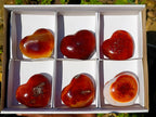 Polished Carnelian Agate Gemstone Hearts x 6 From Madagascar