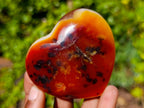 Polished Carnelian Agate Gemstone Hearts x 6 From Madagascar