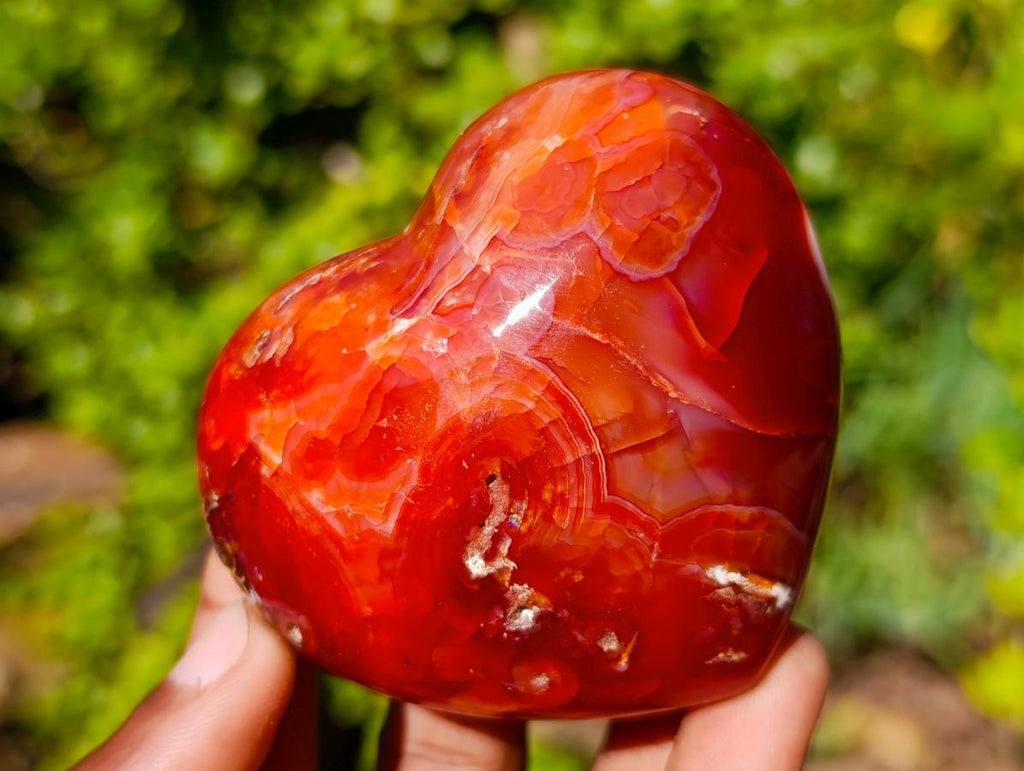 Polished Carnelian Agate Gemstone Hearts x 6 From Madagascar