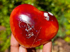 Polished Carnelian Agate Gemstone Hearts x 6 From Madagascar