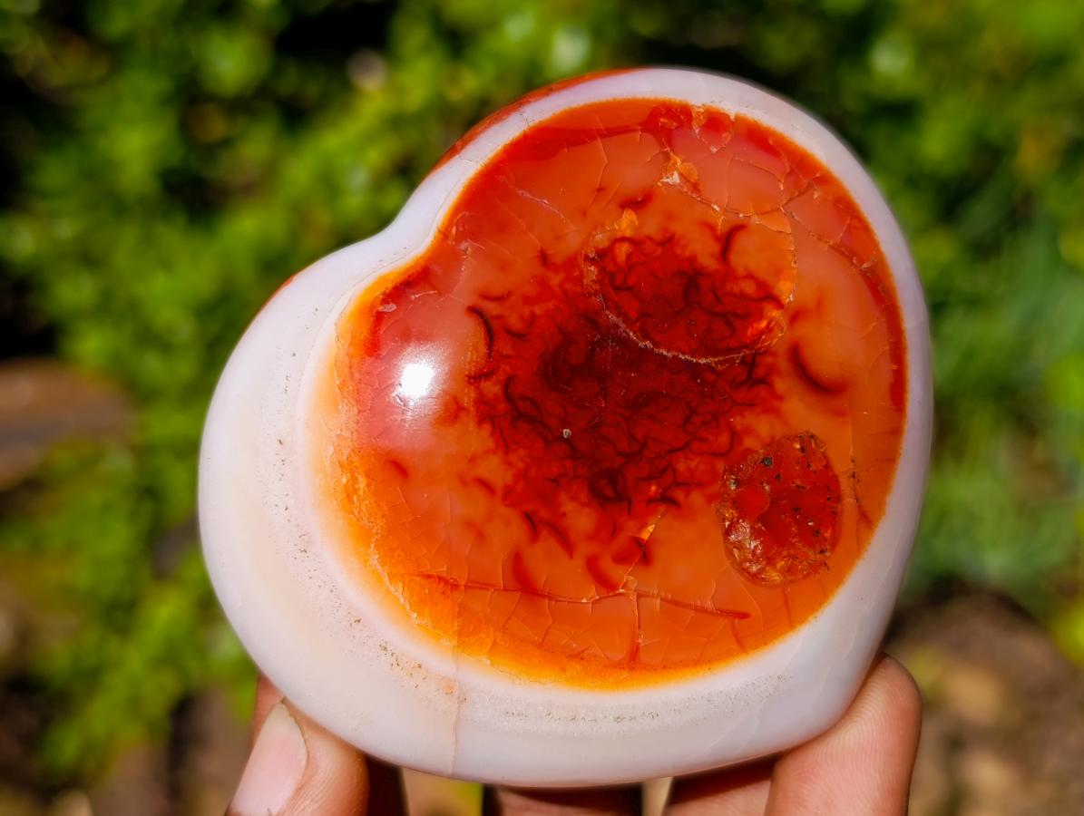 Polished Carnelian Agate Gemstone Hearts x 6 From Madagascar