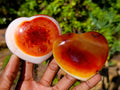 Polished Carnelian Agate Gemstone Hearts x 6 From Madagascar