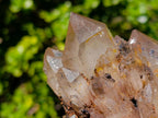 Natural Large Cascading White Phantom Smokey Clear Luena Quartz Cluster x 1 From Luena, Congo