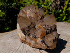 Natural Large Cascading White Phantom Smokey Clear Luena Quartz Cluster x 1 From Luena, Congo