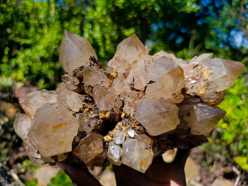 Natural Large Cascading White Phantom Smokey Clear Luena Quartz Cluster x 1 From Luena, Congo