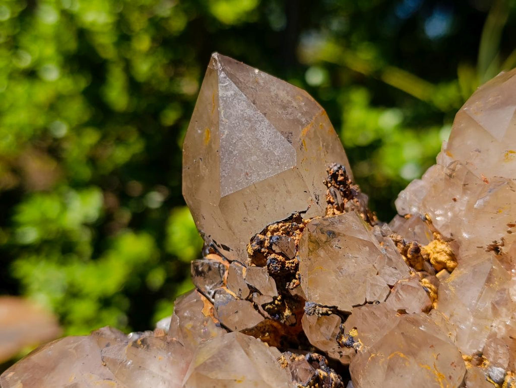 Natural Large Cascading White Phantom Smokey Clear Luena Quartz Cluster x 1 From Luena, Congo