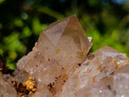 Natural Large Cascading White Phantom Smokey Clear Luena Quartz Cluster x 1 From Luena, Congo