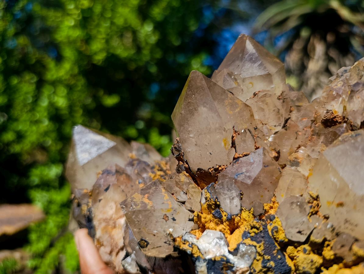 Natural Large Cascading White Phantom Smokey Clear Luena Quartz Cluster x 1 From Luena, Congo