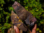 Natural Nguni Jasper Cobbed Specimens x 24 From Northern Cape, South Africa