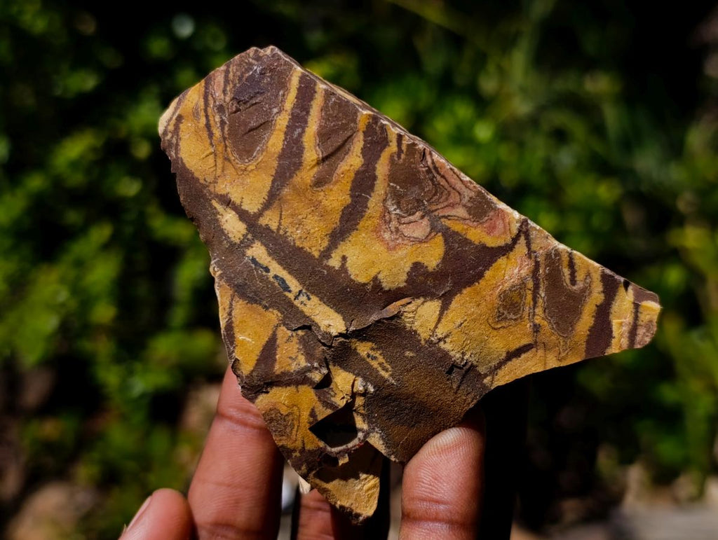 Natural Nguni Jasper Cobbed Specimens x 24 From Northern Cape, South Africa