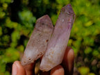 Natural Smokey Window Amethyst Crystals x 14 From Chiredzi, Zimbabwe